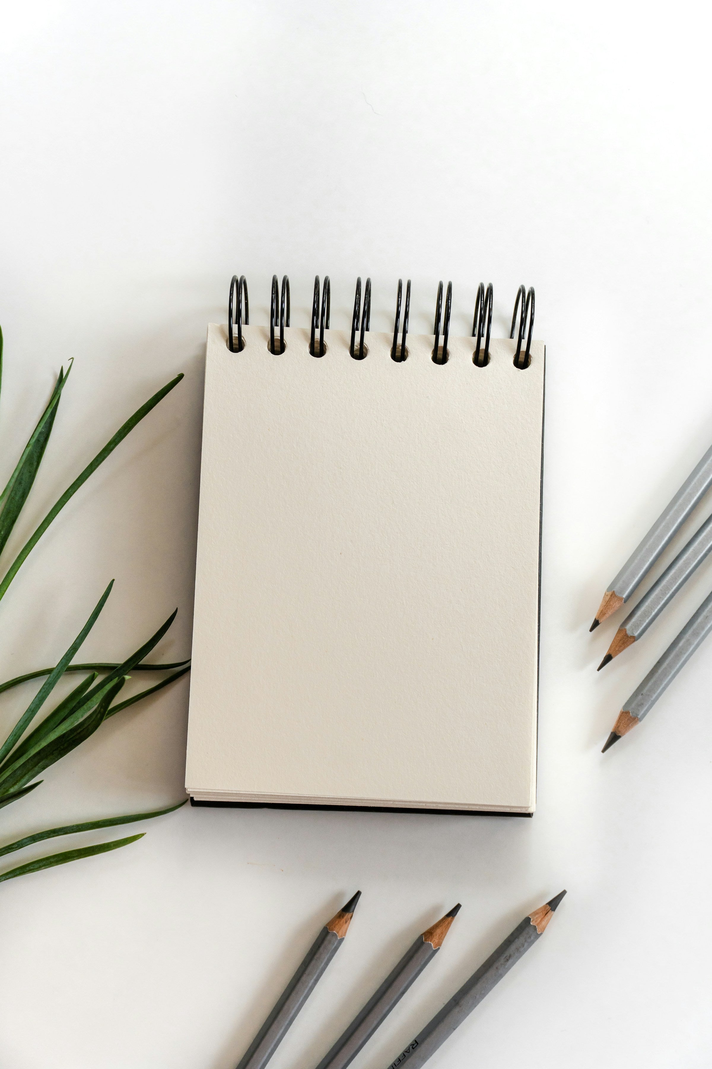 The Creative Arts & Design Masterclass Guide