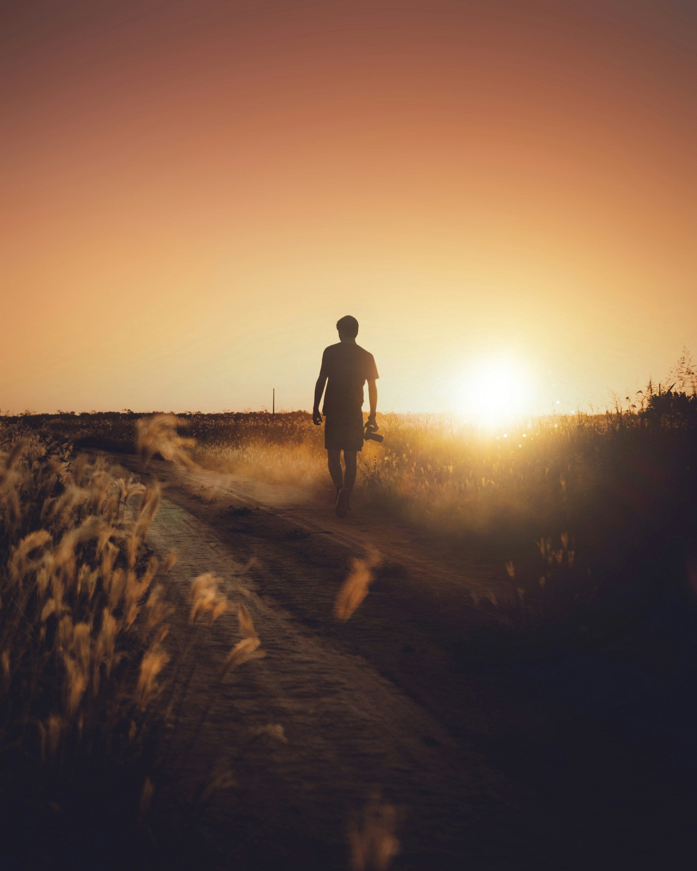 The Personal Growth & Success Blueprint